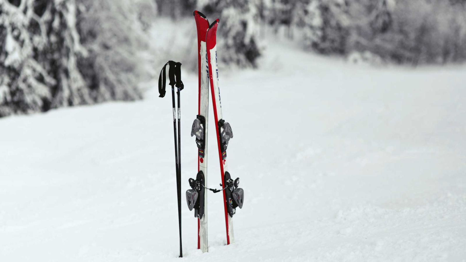 <p>BLOG: hoe lang moet een skistok zijn?</p> 